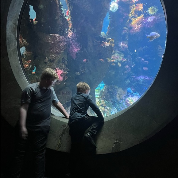 Meet your Posher, Mark - Picture 6 of 13